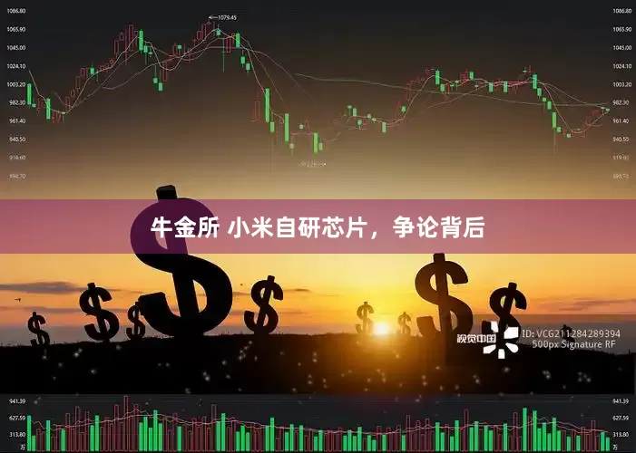 牛金所 小米自研芯片，争论背后