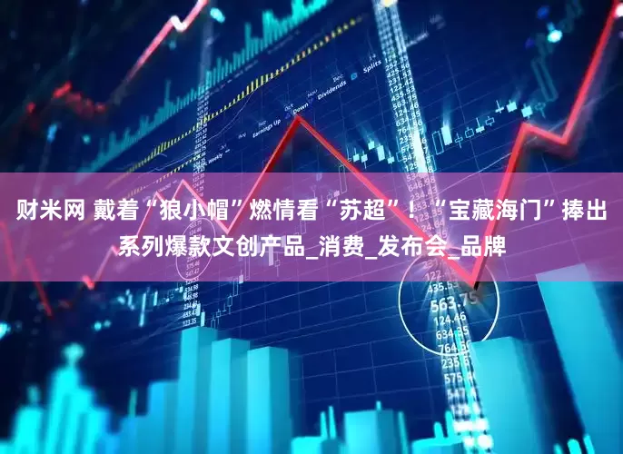 财米网 戴着“狼小帽”燃情看“苏超”！“宝藏海门”捧出系列爆款文创产品_消费_发布会_品牌