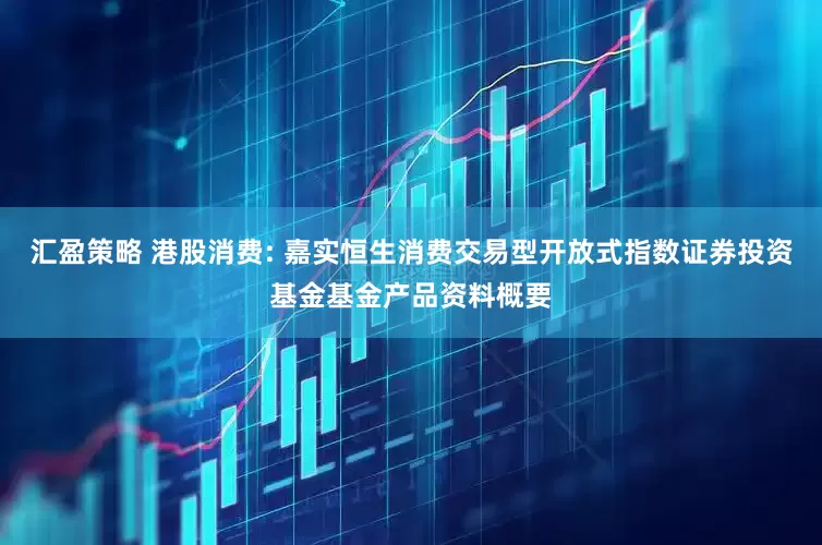 汇盈策略 港股消费: 嘉实恒生消费交易型开放式指数证券投资基金基金产品资料概要